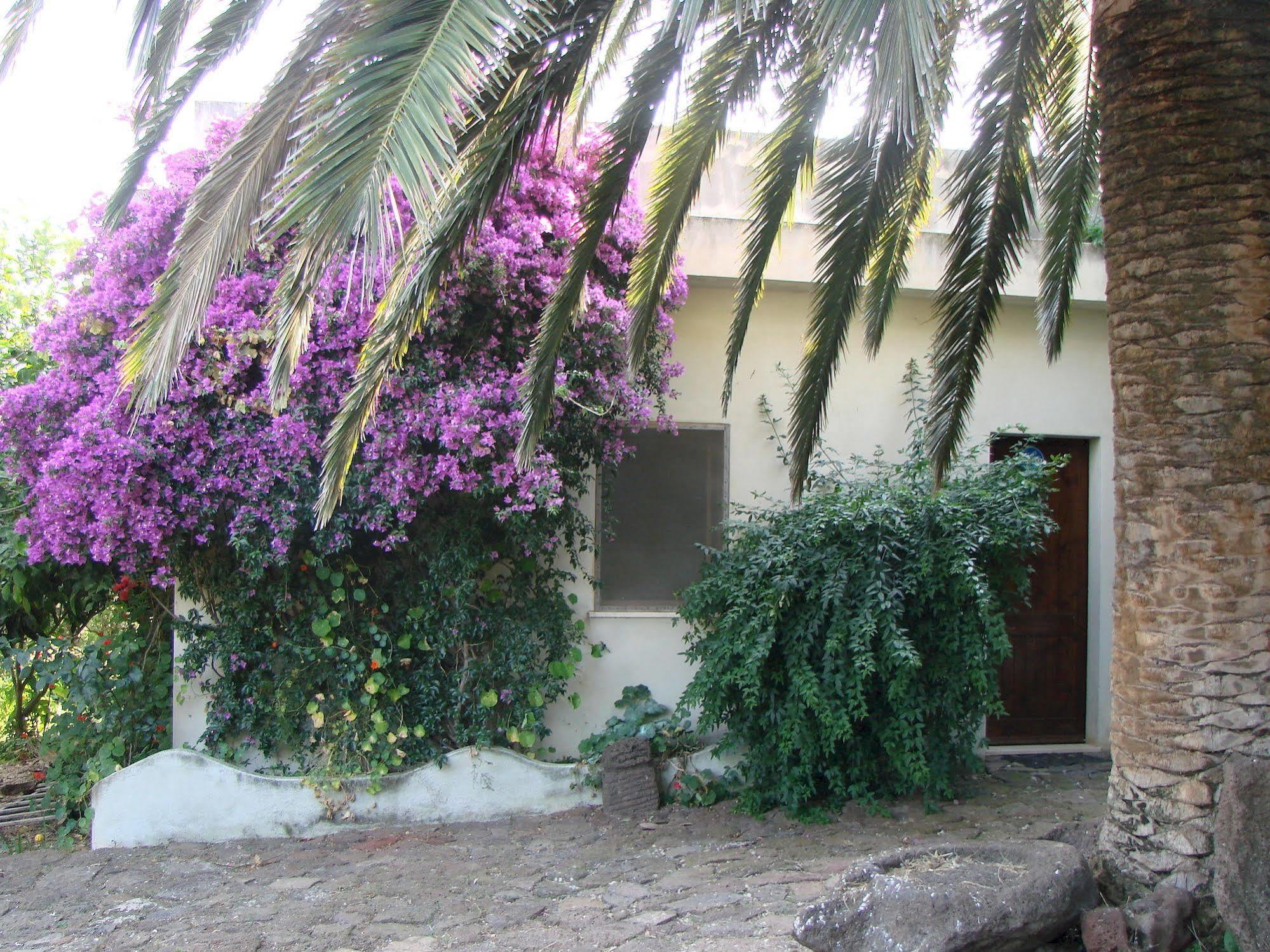 Agriturismo Su Tiresi Cala Gonone Exterior photo