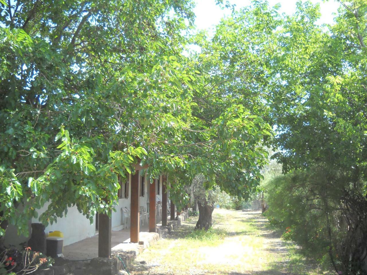 Agriturismo Su Tiresi Cala Gonone Exterior photo